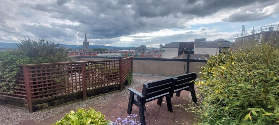 Newly Renovated Christchurch 1BD Roof Garden Apartment in Dublin