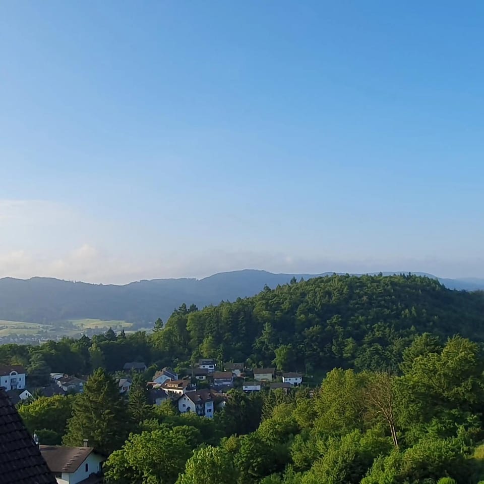 View (from property/room)