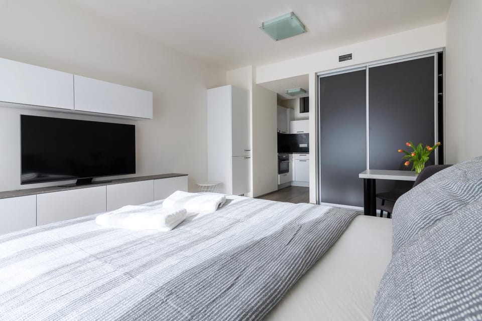 Bed, TV and multimedia, Kitchen or kitchenette, Photo of the whole room