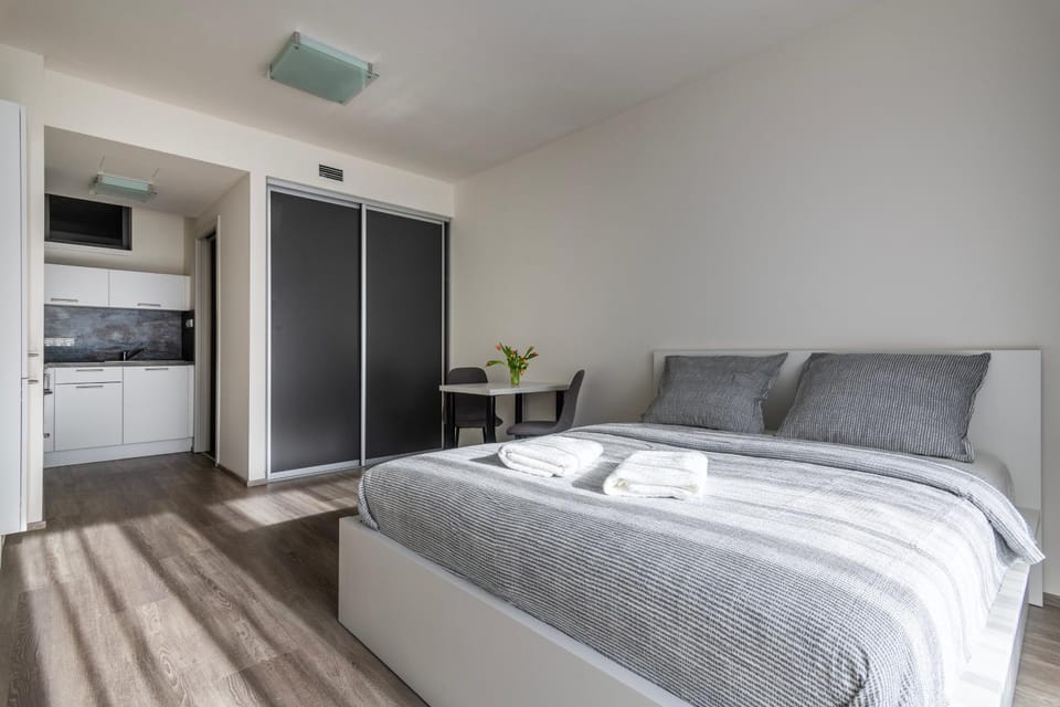 Bed, Kitchen or kitchenette, Photo of the whole room