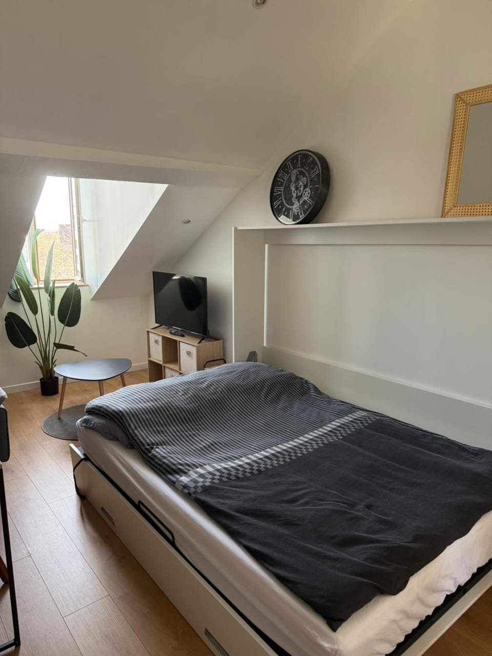 Bed, Photo of the whole room