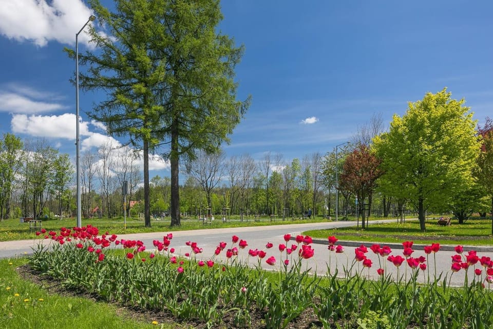 Day, Natural landscape