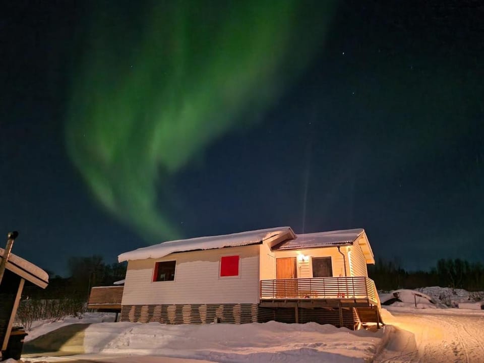 Property building, Night, Winter