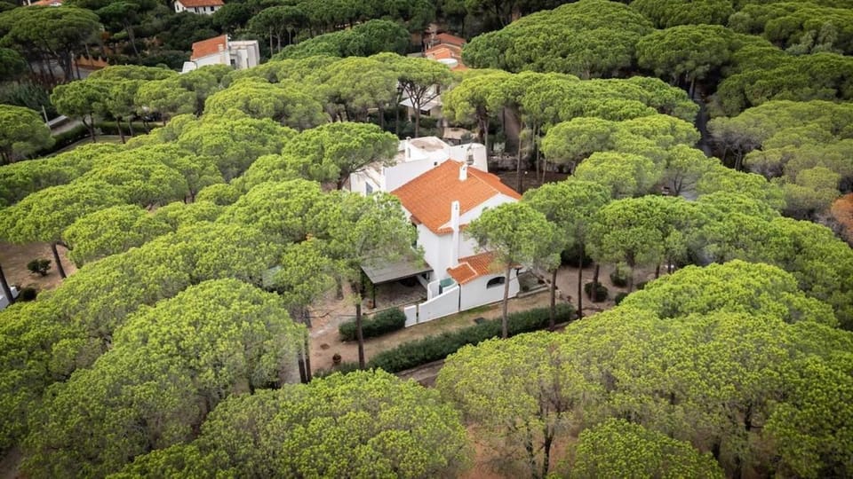 Villa Luna Home Holiday 100 mt from the sea Villa in Sardinia