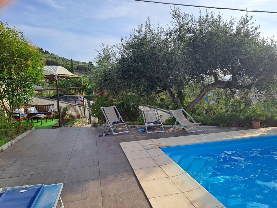 Swimming pool, Swimming pool