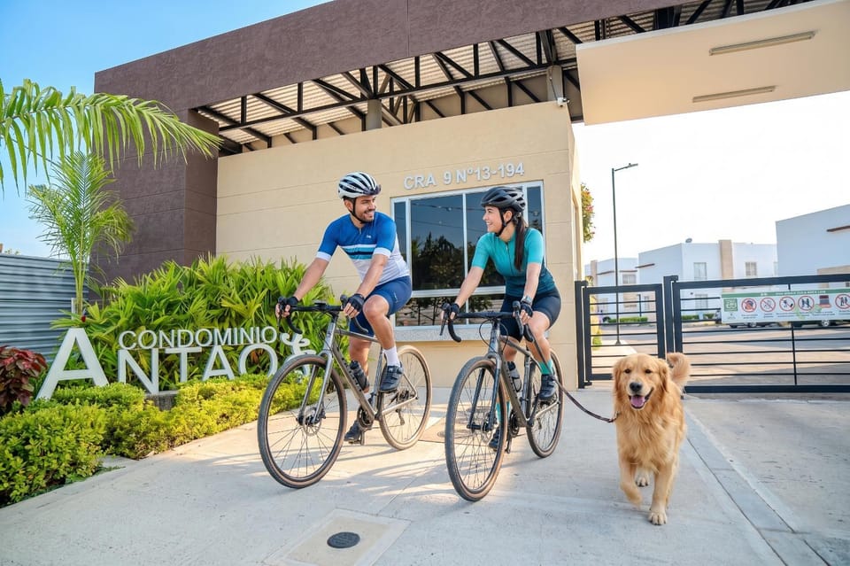 Day, Cycling, Pets