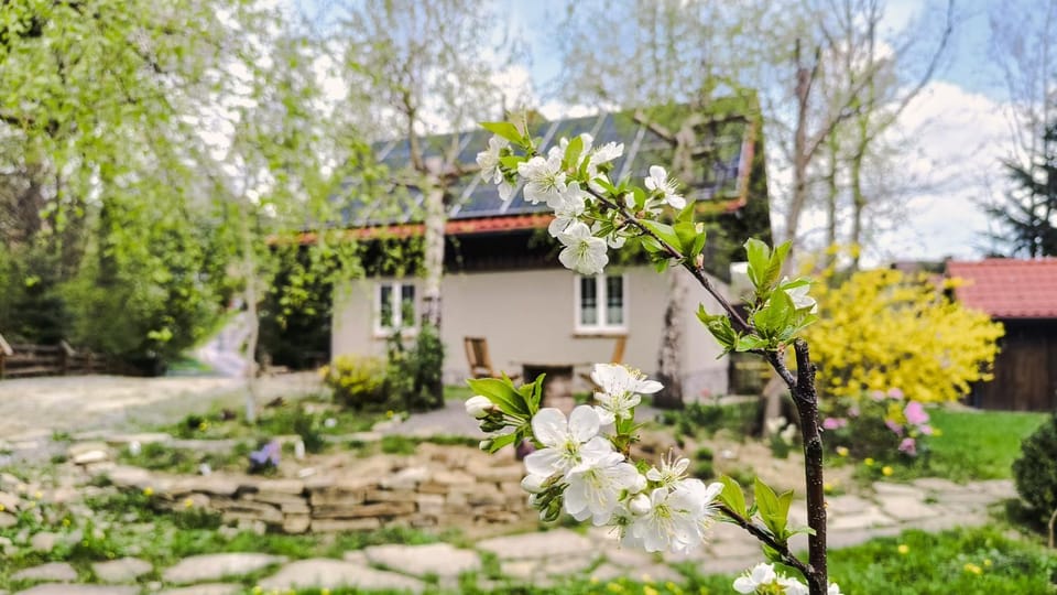 Property building, Spring, Natural landscape, Garden, Garden view