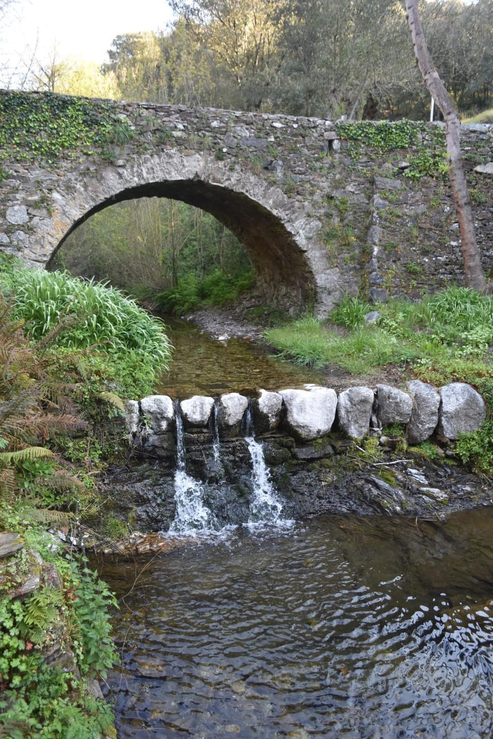 La Conté Bed and Breakfast in Occitanie