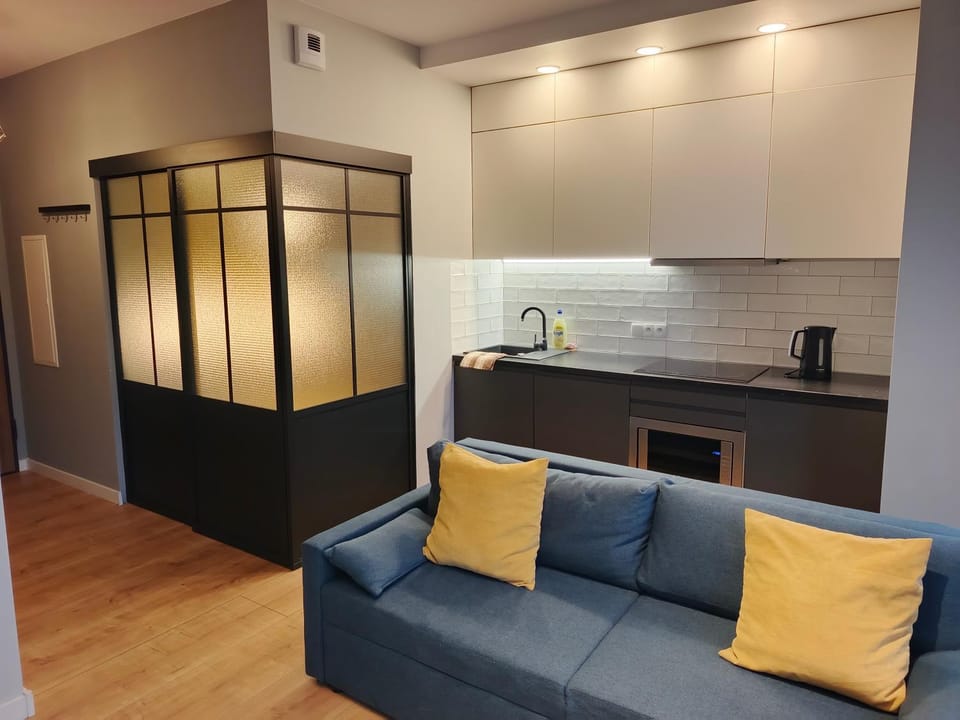 Kitchen or kitchenette, Living room, Seating area, oven, stove
