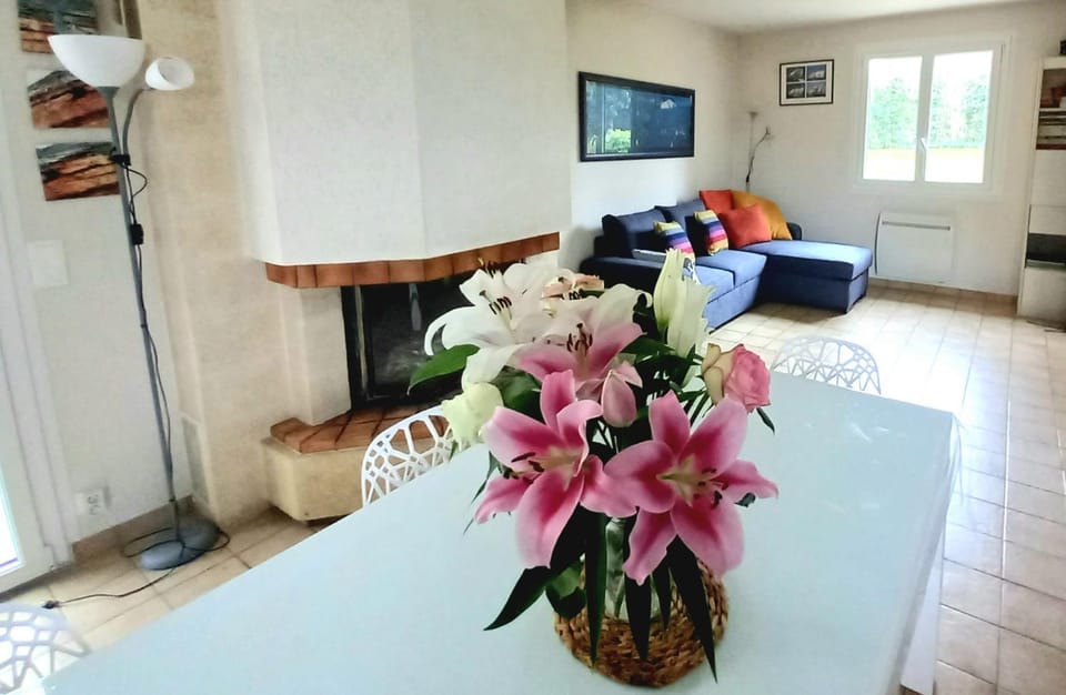 TV and multimedia, Living room, Seating area, Dining area, fireplace, fireplace