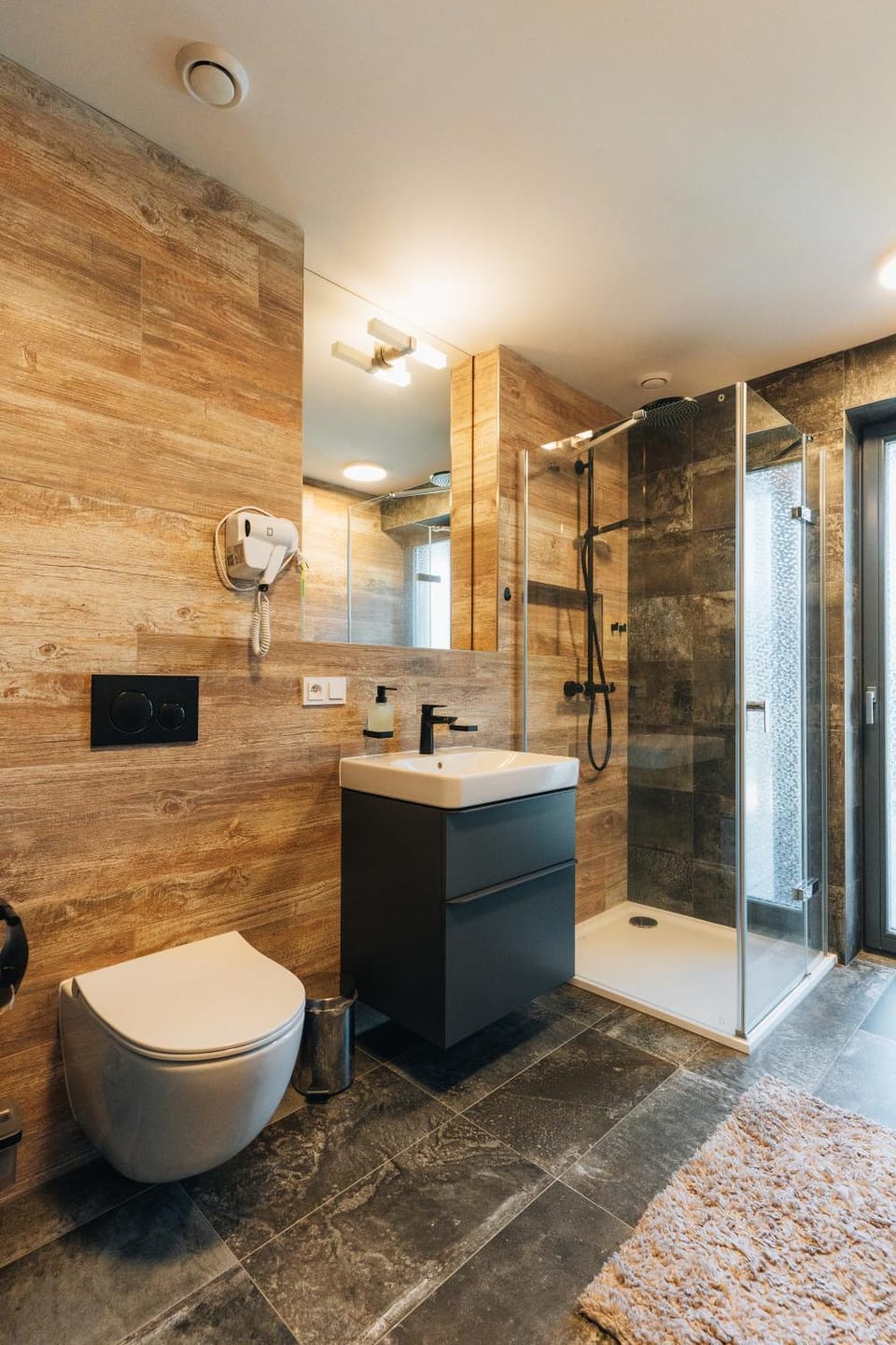 Toilet, Bathroom, hair dryier