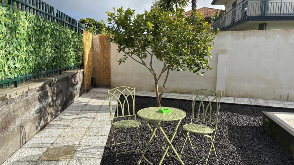 Spring, Day, Garden, Garden view
