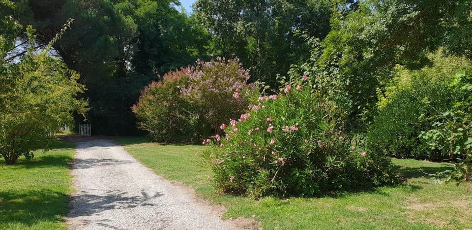 Garden, Garden view
