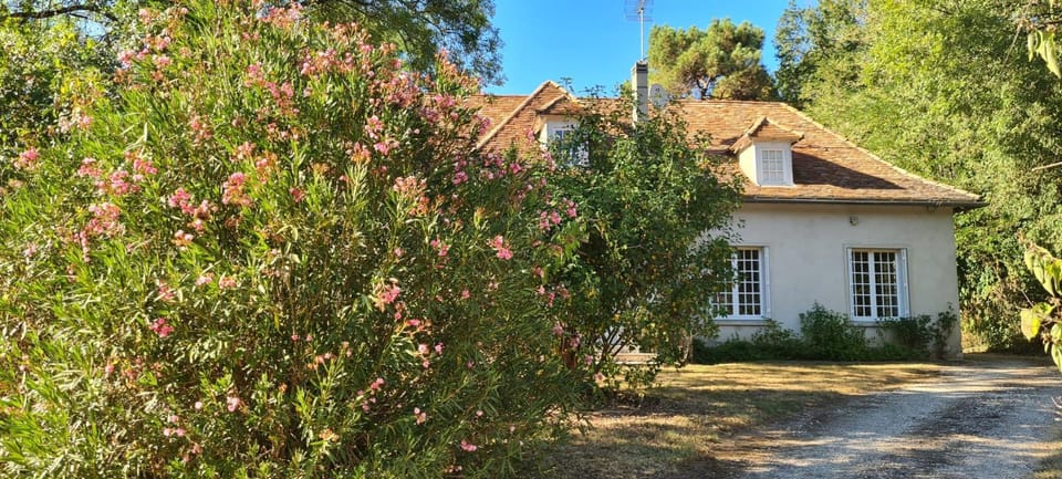Property building, Garden, Garden view