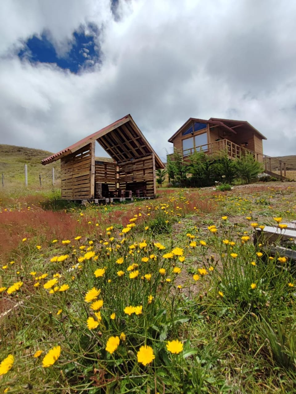 Property building, Day, Natural landscape, Garden view