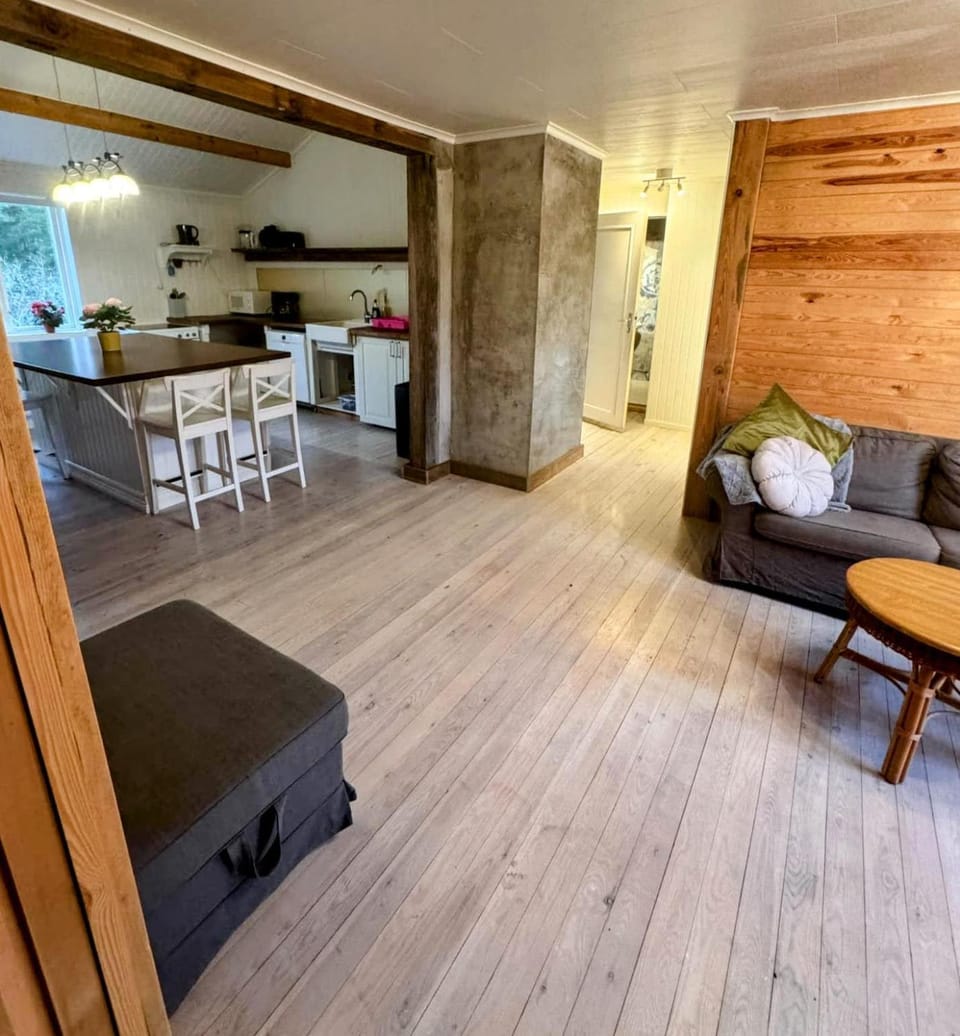 Kitchen or kitchenette, Living room, Seating area, Dining area, oven
