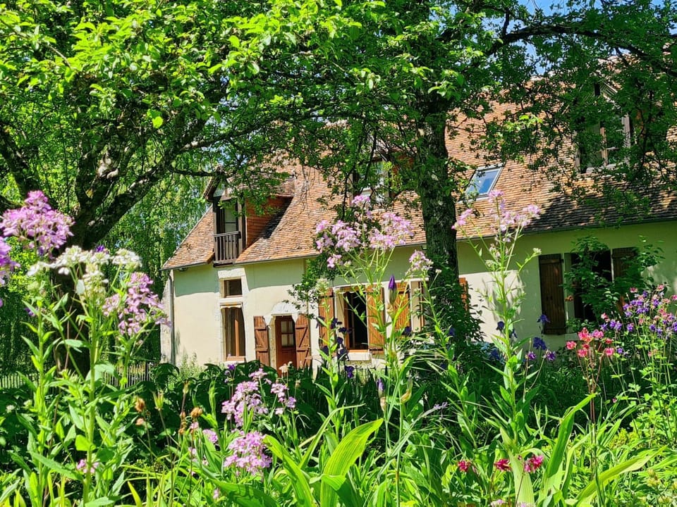 Property building, Garden, Garden view