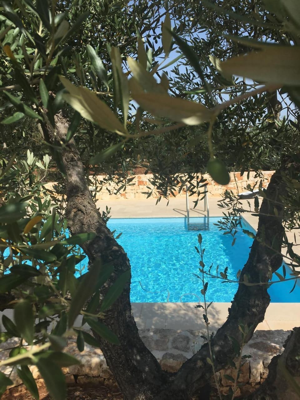 Trullo Amato with exclusive pool Villa in Rome