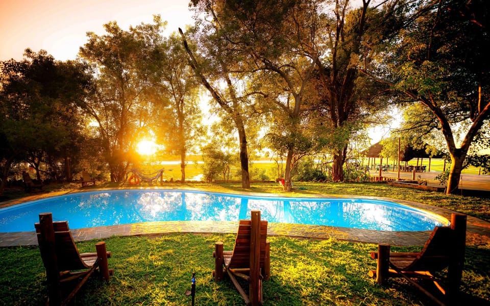 Natural landscape, Garden, Pool view, Swimming pool, Swimming pool, Sunrise