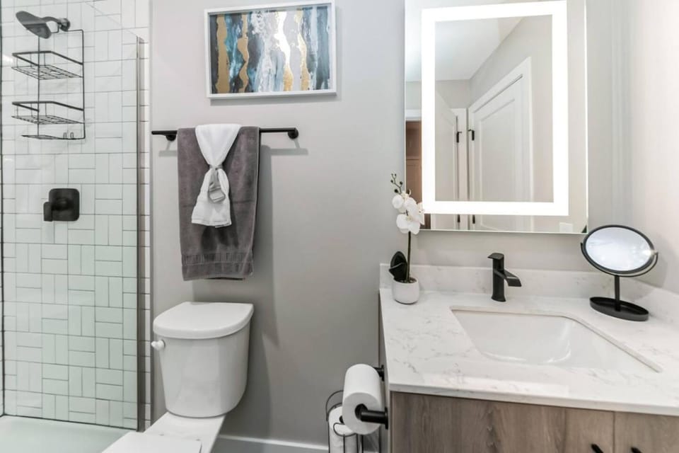 Shower, Toilet, Bathroom, towels