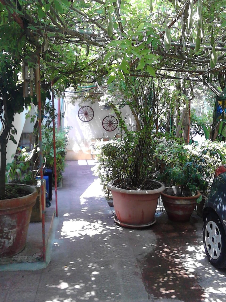 Villetta Baia Verde House in Baia Verde