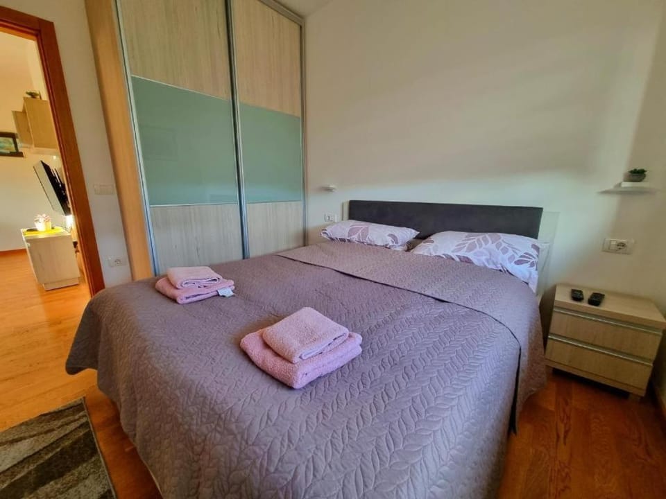 Neoplanta Apartment in Zlatibor