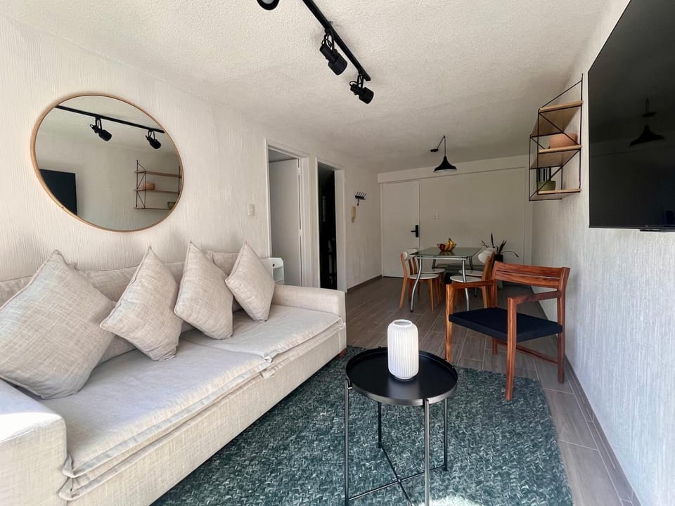 T201 - 1BDR - 1BTh Apartment in Mexico City