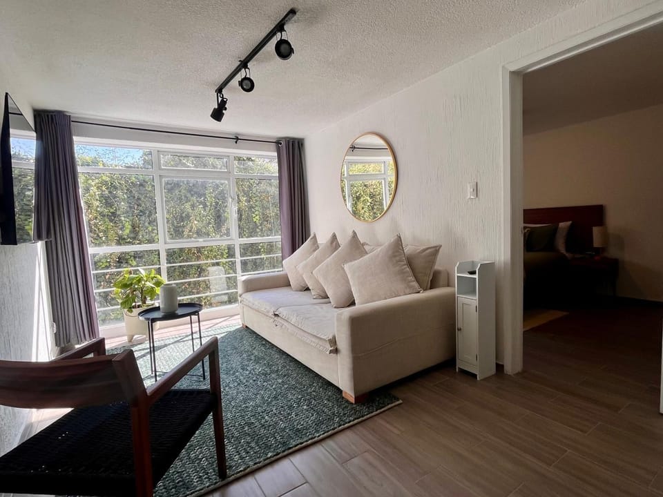T201 - 1BDR - 1BTh Apartment in Mexico City