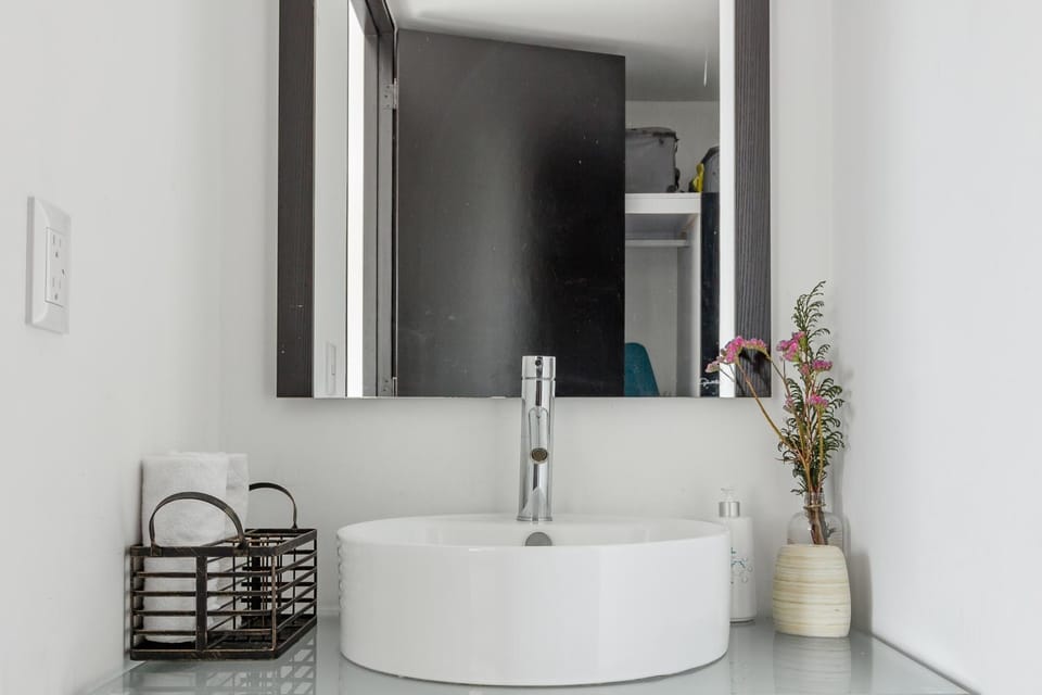 C302 1BR - 1BTh Apartment in Mexico City