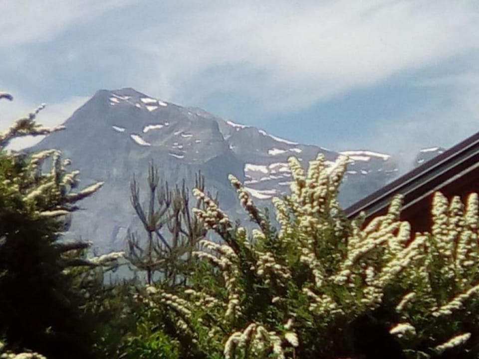 Spring, Mountain view