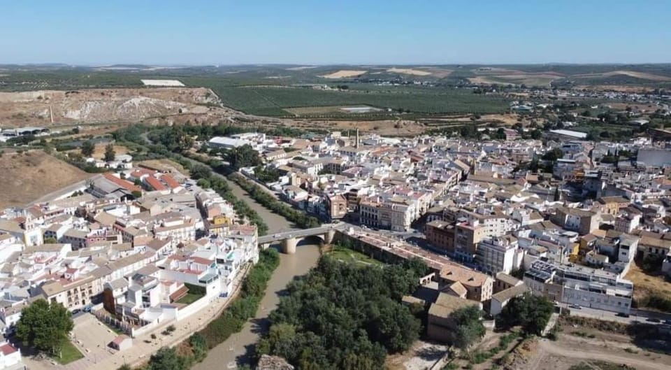 Stunning apartment with views of the Genil river Apartment in Andalusia