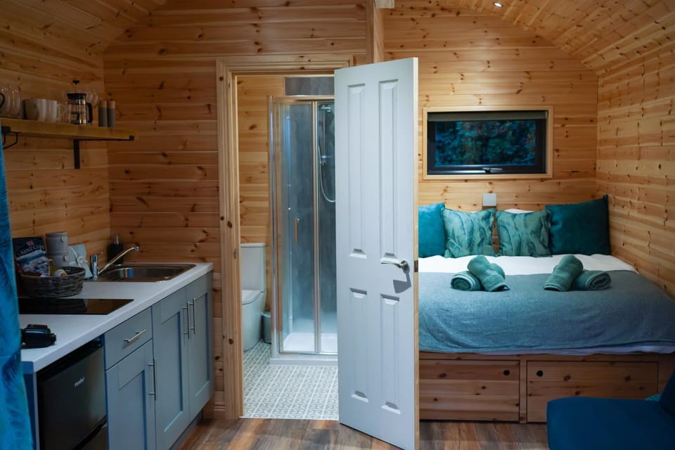 Bed, Kitchen or kitchenette, Photo of the whole room