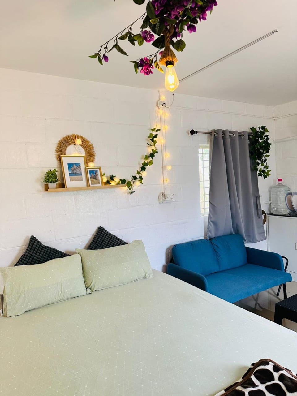 Photo of the whole room