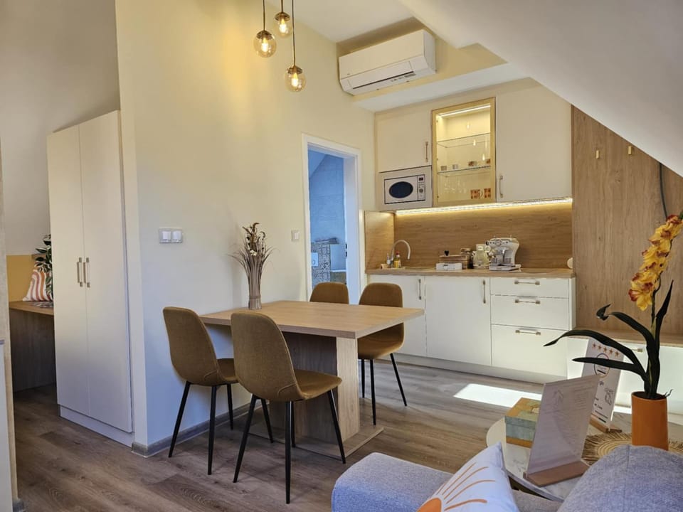 Kitchen or kitchenette, Dining area, air conditioner