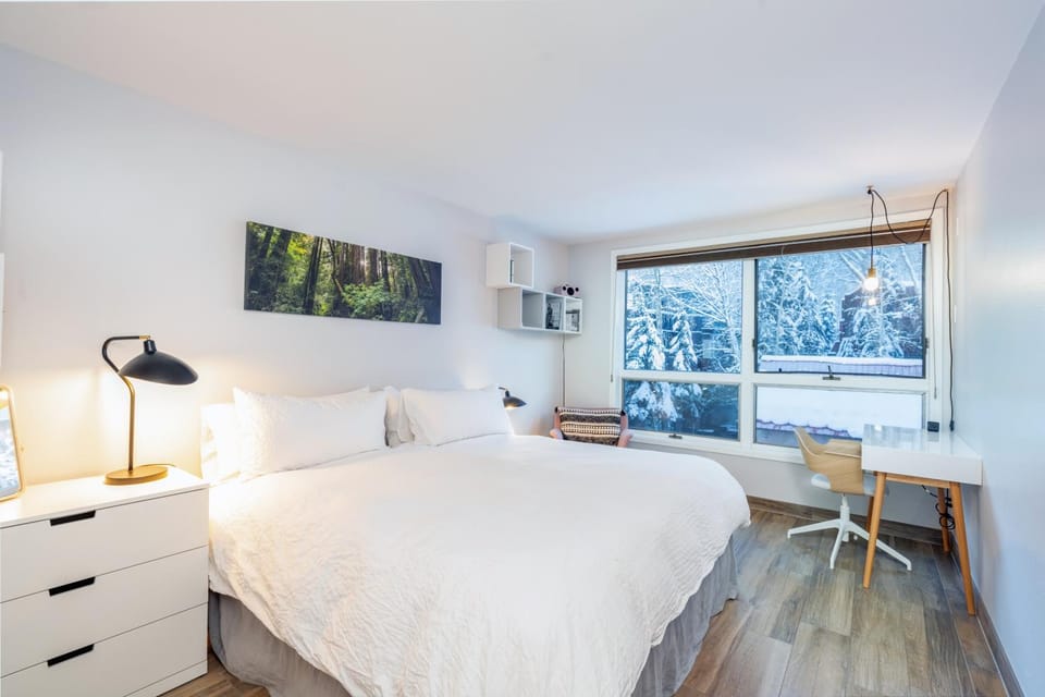 One block walk to gondola, ski lockers downstairs, River Trail close by! House in Telluride
