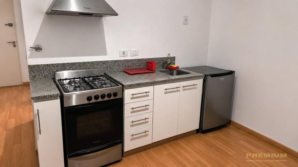 Kitchen or kitchenette, Photo of the whole room, internet, oven, stove