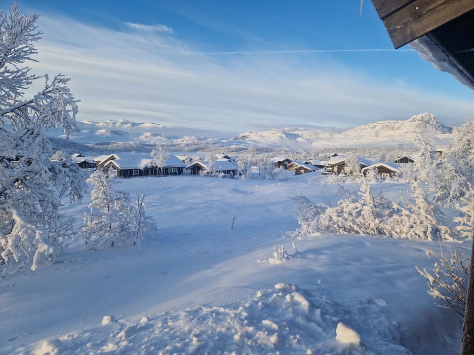 View (from property/room)