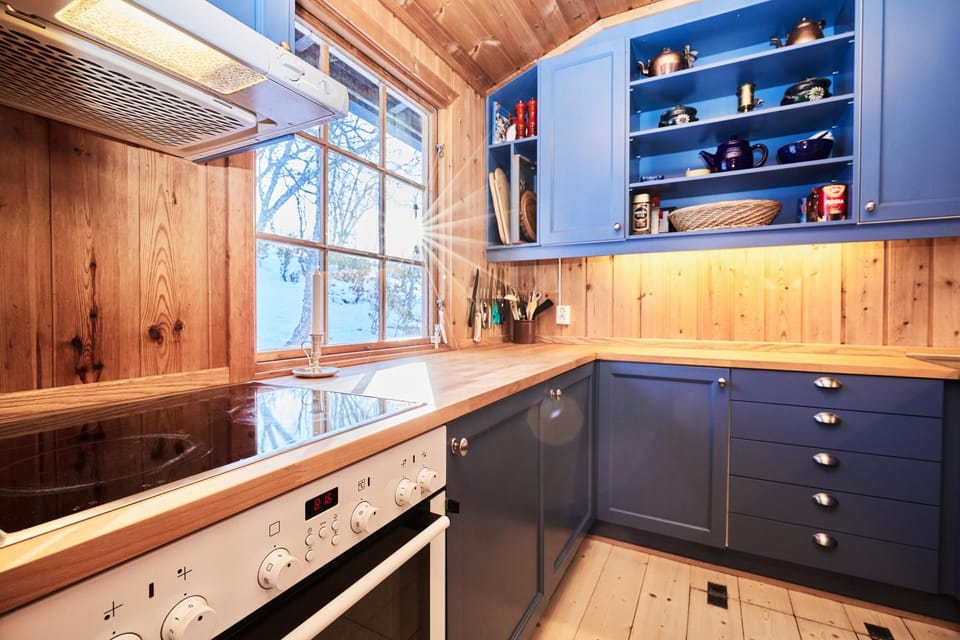 Kitchen or kitchenette, dishwasher, stove