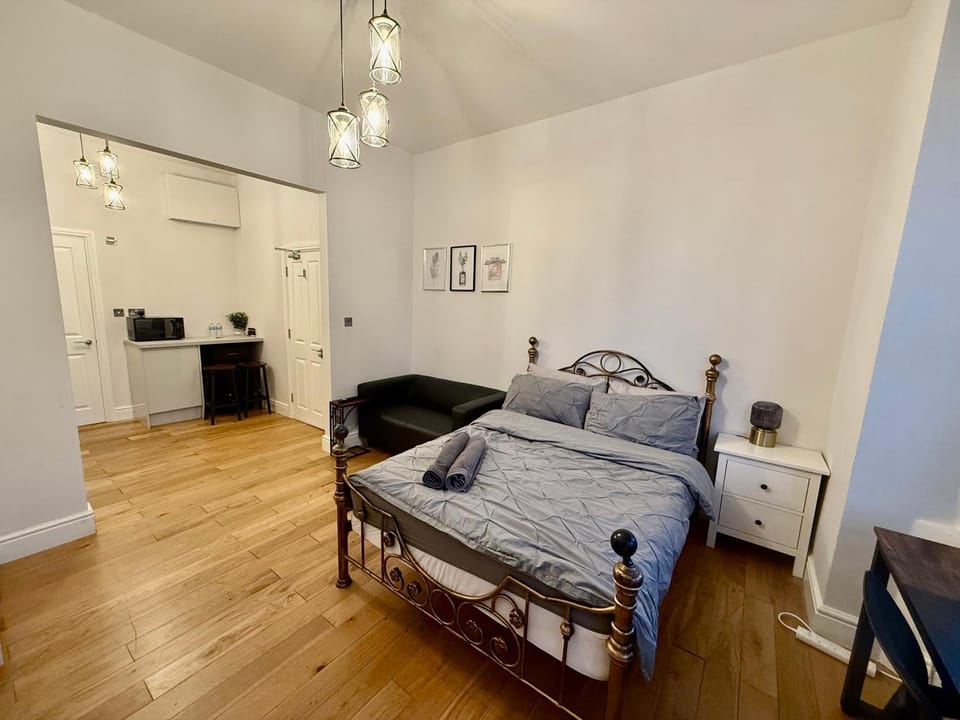 Amazing Studio Apartment East London Apartment in London