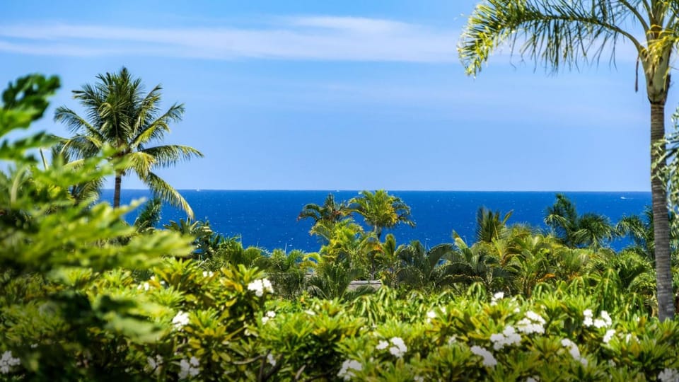 Hawaiian Honu House House in Holualoa