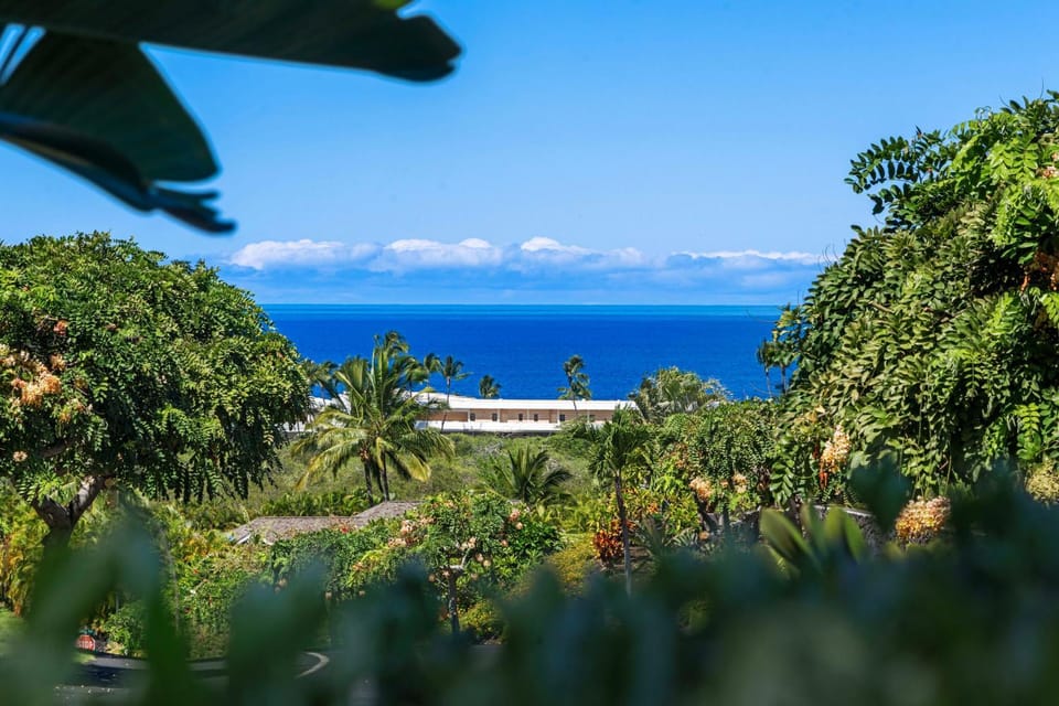 Nani Kahakai House in Holualoa