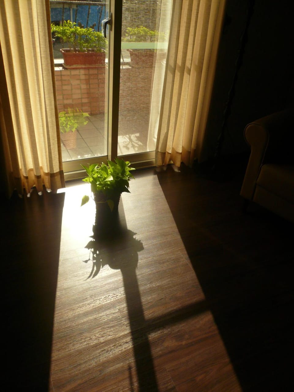 Balcony/Terrace