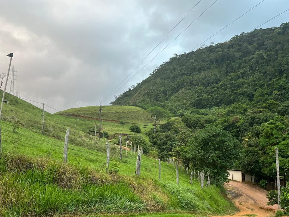 Natural landscape, Garden, Mountain view