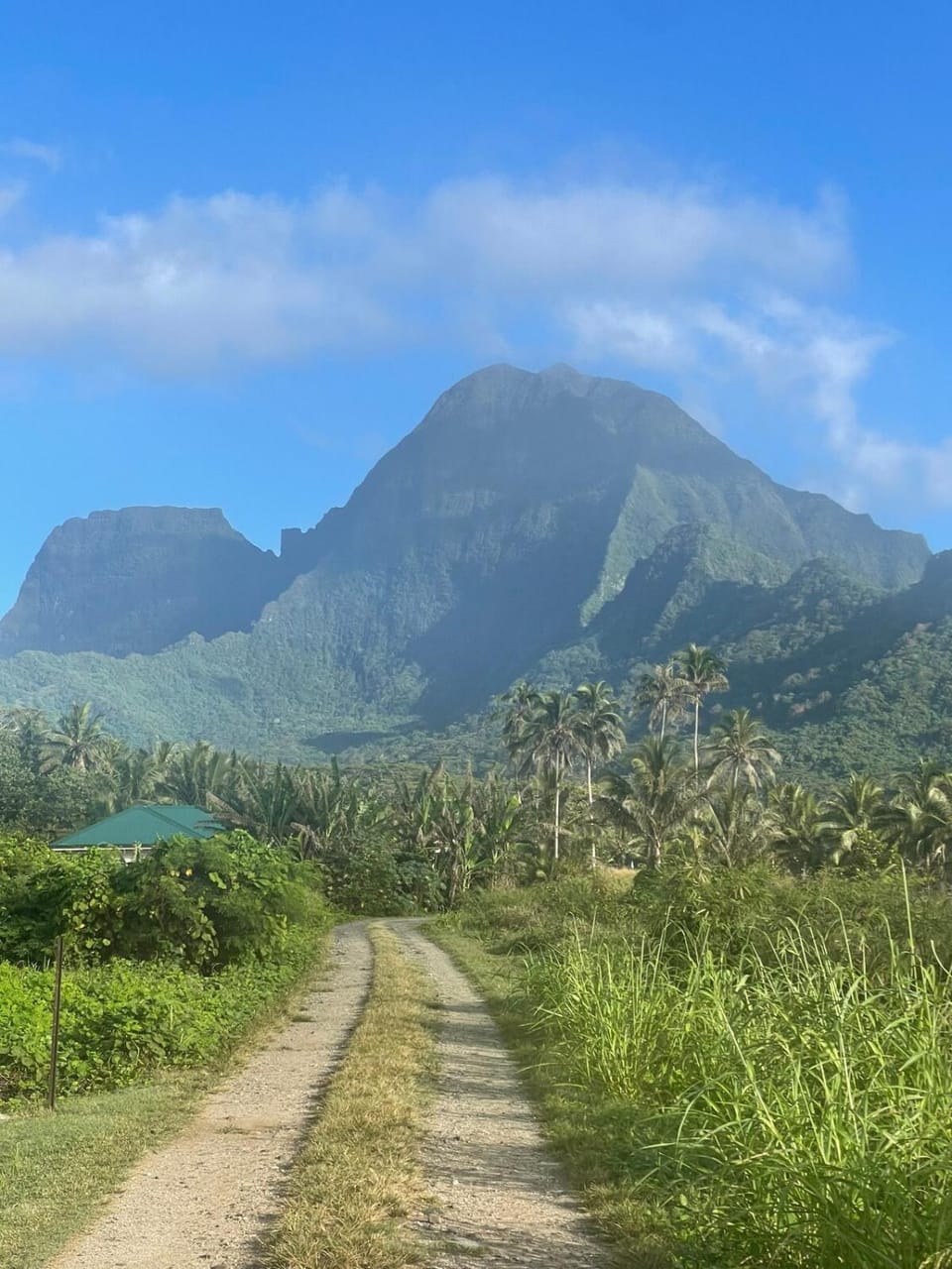 Holiday house Nuupure - Accès plage privée & terrain de Pickelball House in Moorea-Maiao