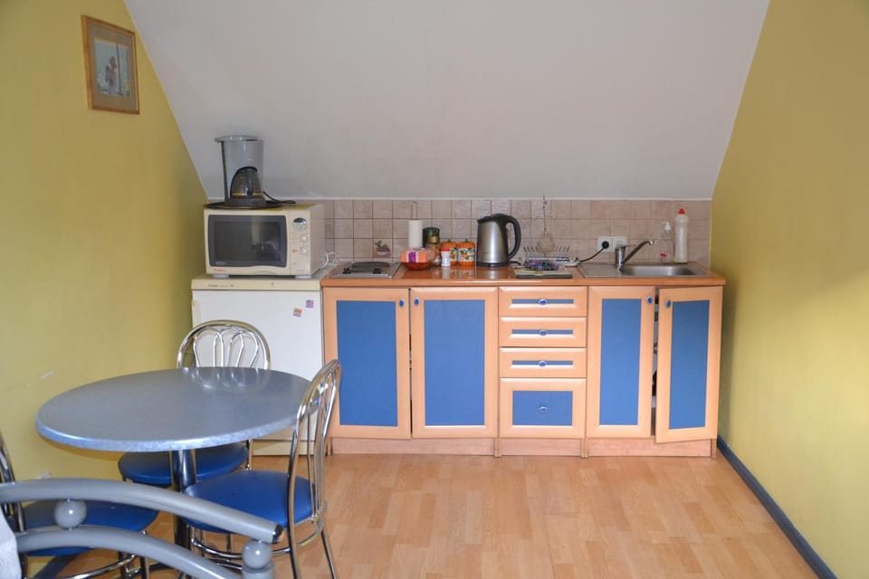 Danarent Tilto Apartment in Vilnius