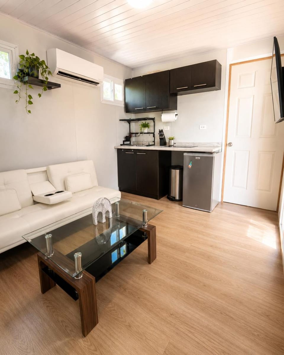 Living room, kitchen