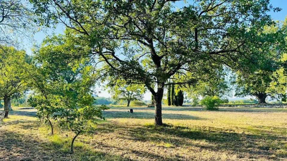 Domaine de Maurel Villa in Saint-Maximin-la-Sainte-Baume