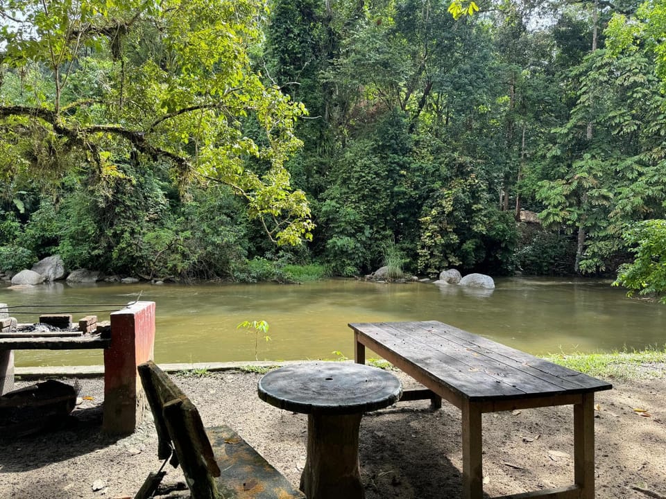 Spring, Day, Natural landscape, Dining area, River view
