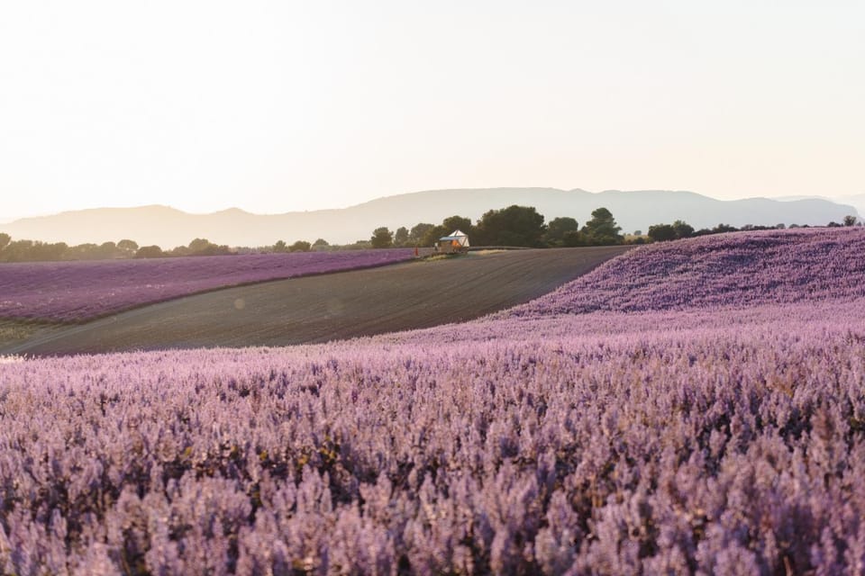 Nearby landmark, Spring, Day, Natural landscape