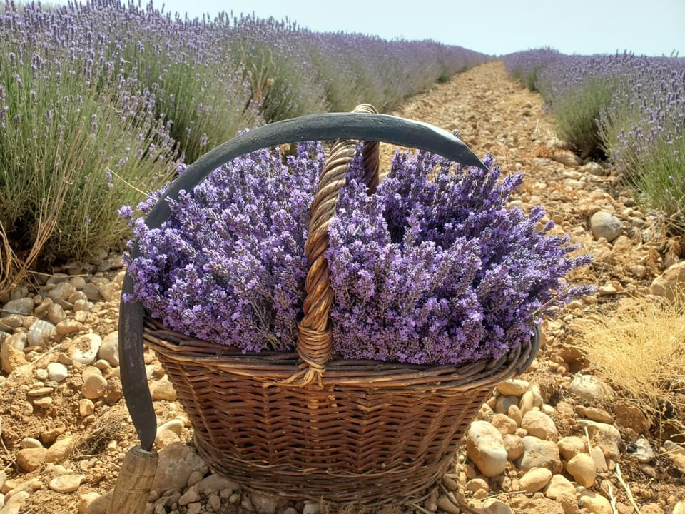 Day, Natural landscape